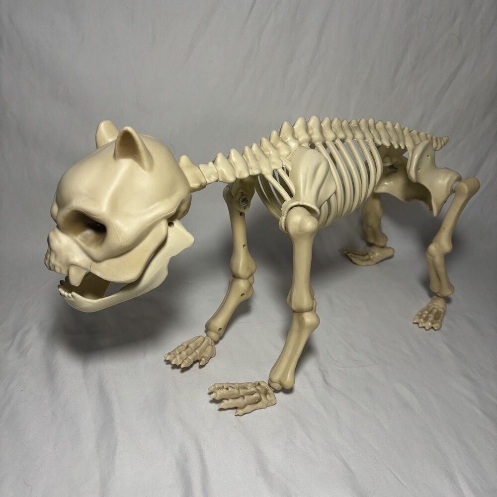 Pan Asian Skeleton Cat Dog Prop 8342-19655 Light Up Eyes